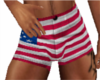 USA Shorts 