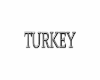 TURKEY DJ BLACKOUT ROOM
