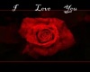 ~S~ I Love You Banner