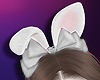 Rabbit Ear W
