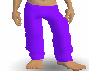 purple sweat pants