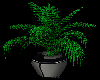 VM|Plant