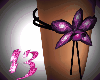 13~purple orcid garter