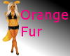 [EP] Orange Fur