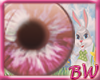 *BW* Kid Bunny Eyes