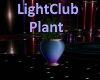 [BD]LightClubPlant