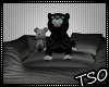 TSO~ Black Sleepy Kitty