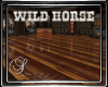 (SL) WILD HORSE 2