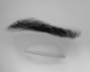 M Eyebrows ZIns 4