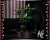 Kii~ Rose Plant decor