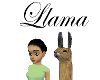 ~RB~ Llama :D