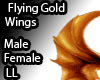 LL flying Gold Wings M/F