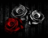 *k* Valentine blk rose