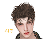 Z梅 edgar br