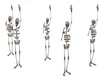 Skeleton Dancers
