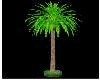 ® PALM TREE DERIVABLE