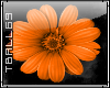 orange flower sticker