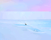 Arctic Thin Ice