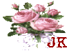 Pink Roses 05