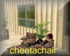 cheetachair