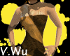 [V.Wu] Golden Lined Gown