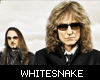 Whitesnake Music Player 