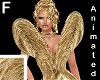 Gaurav golden gown - F