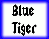 Blue Tiger Tail