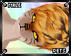 [PETS] Tigger | hair v3