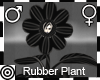 *m Rubber Plant Costume