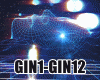 GIN1-GIN12 ONE BOX