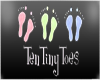 Flash Banner TenTinyToes