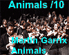 Martin Garrix - Animals