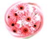 Flower Globe 003