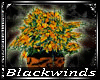 BW| Halloween Plant