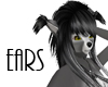 Silver Fox Ears [KIT] F