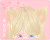 ☾ milk blonde ears