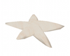 Sand Starfish 