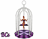Lady in a Guilded Cage 3