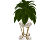 Plant on Stand