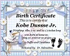 ~SS~ Custom Birth Cert