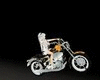 Harley animation