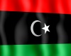 OJ*LibyaFlag&pole