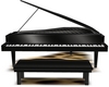 Leopard Piano