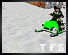 Romantic Snowmobile  /G