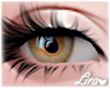 💗 Left Brown Eyes