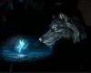 Enlighten Wolf Rug