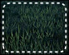 *Y* Cementery Grass