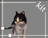 [kit]CAT Pet_Black
