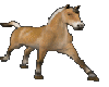 Running Horse